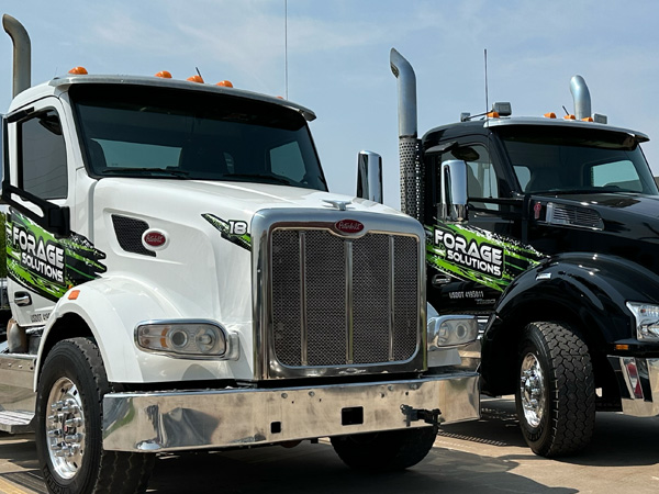 Vehicle Graphics